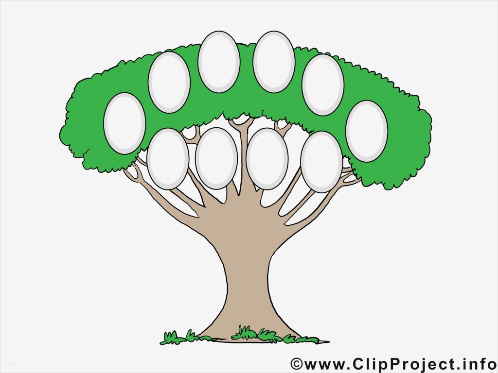 Vorlage Stammbaum Erstellen Gut Stammbaum Erstellen