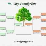 Vorlage Stammbaum Powerpoint Beste 10 Best Of Three Generation Family Tree Chart 6