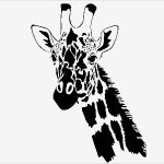 Wandtattoo Nach Vorlage Hübsch Giraffe Tiere Afrika