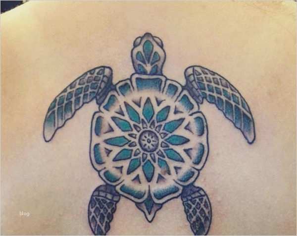 25 Schildkröten Tattoo Ideen Bilder und Bedeutungen