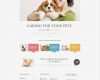 Wordpress theme Vorlage Genial Fein Vorlage Wald Wordpress Galerie Entry Level Resume