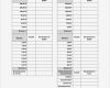Zählprotokoll Vorlage Excel Erstaunlich Muster Zählprotokoll Kasse Mit Schecks Und Essenmarken