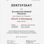 Zertifikat Vorlage Pdf Hübsch Großartig Weiterbildung Zertifikat Vorlage Ideen Ideen