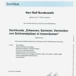 Zertifikat Vorlage Pdf Schön Großartig Weiterbildung Zertifikat Vorlage Ideen Ideen