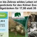 Zoo Gutschein Vorlage Kostenlos Angenehm 2 Tagestickets Für Den Kölner Zoo Inkl Zwei Heiß Ränken