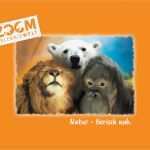 Zoo Gutschein Vorlage Kostenlos Cool Willkommen In Drea´s World Ein Tag Im Zoom Zoo In