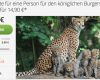 Zoo Gutschein Vorlage Kostenlos Schön Burgers Zoo Gutschein Für 14 90€ Travel Dealz