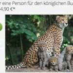 Zoo Gutschein Vorlage Kostenlos Schön Burgers Zoo Gutschein Für 14 90€ Travel Dealz