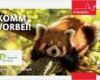 Zoo Gutschein Vorlage Kostenlos Wunderbar Gutscheine Nürnberger Tiergarten Giveaways