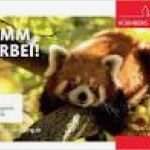 Zoo Gutschein Vorlage Kostenlos Wunderbar Gutscheine Nürnberger Tiergarten Giveaways